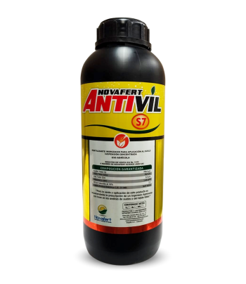 Antivil