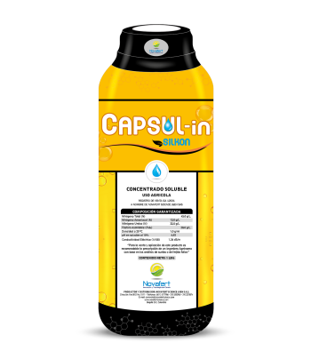 Capsul in