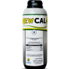 NewCal-500