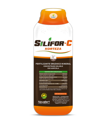 Funda Silifo C Korteza