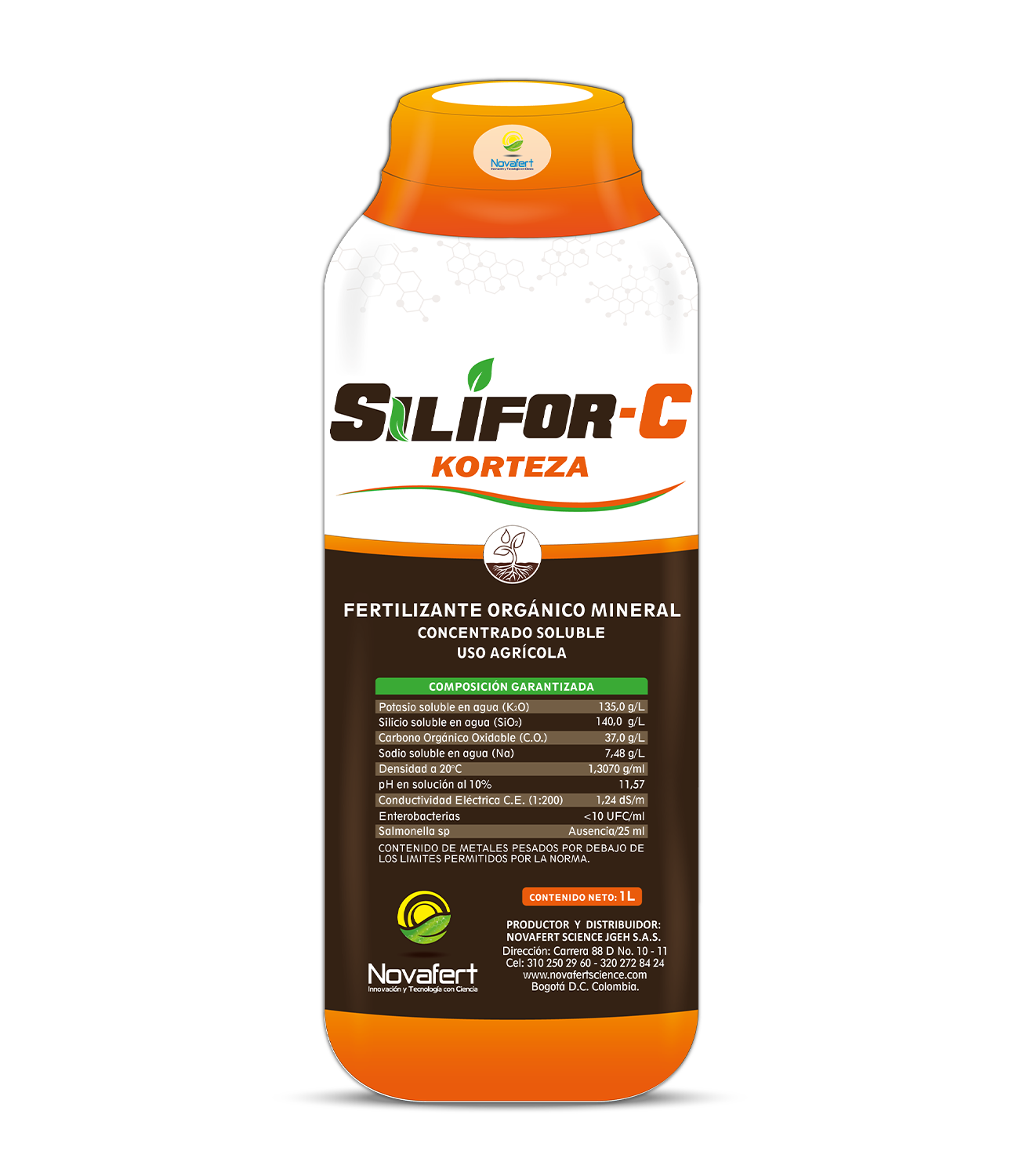 Funda Silifo C Korteza